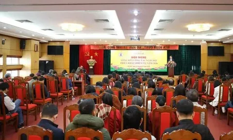 Dân số Việt Nam hơn 102 triệu người, đứng thứ 3 Đông Nam Á, thứ 16 thế giới