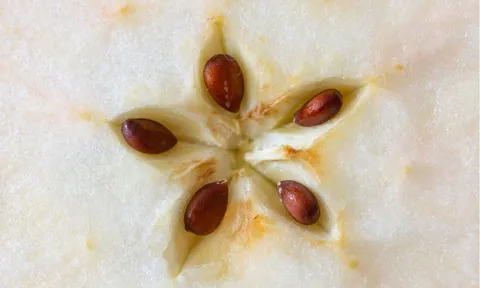 Loại quả chứa chất "kịch độc", quả số 1 mâm cơm nhà nào cũng có