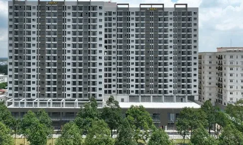 Him Lam, IDICO… thực hiện chỉ đạo “nóng” của Thủ tướng