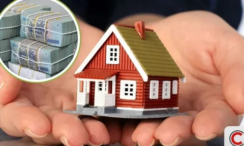 Cá nhân cho thuê bất động sản nộp thuế như thế nào? Cơ quan Thuế trả lời