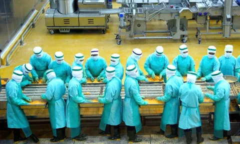 Công trình 30.500 tỷ đồng "tầm cỡ quốc tế" tại Đồng Nai: Bước nhảy vọt tiến vào nông nghiệp sâu toàn cầu