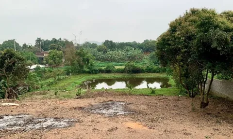 Bộ NN&MT phản hồi về việc xin “lên thổ cư” 500m2 đất vườn mua giấy tờ xã từ năm 1995