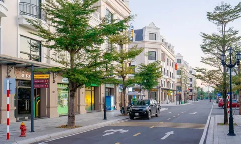 Đòn bẩy kép giúp nhà đầu tư Vinhomes Golden Avenue an tâm khởi sự