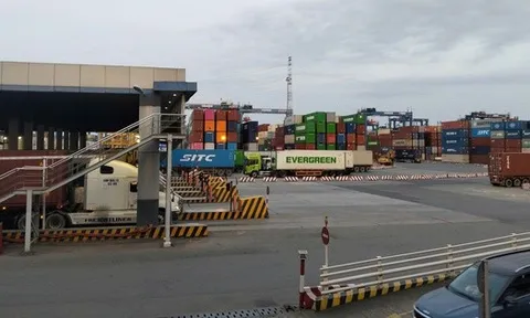 Chủ động thích ứng với chính sách thuế mới