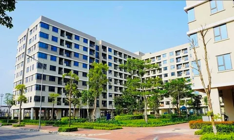 Được ưu tiên mua nhà ở xã hội khi bị thu hồi đất vì mục đích quốc phòng, an ninh