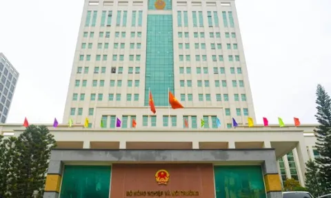 3 phương thức phản ánh vi phạm đất đai tới Bộ NN&MT