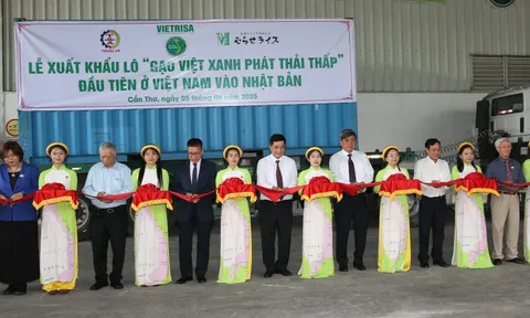 Giữ vững nhịp xuất khẩu gạo bằng chiến lược chất lượng cao