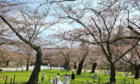 Con số bất ngờ về người Việt đi du lịch Nhật Bản