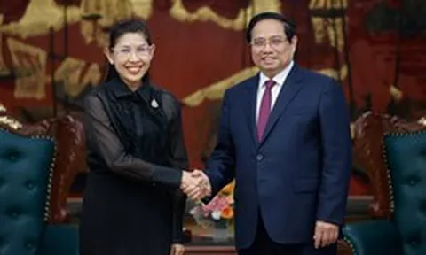 Gặp Đại sứ Thái Lan, Thủ tướng đề nghị nước này đảm bảo cung ứng nhiên liệu cho 1 lĩnh vực của Việt Nam