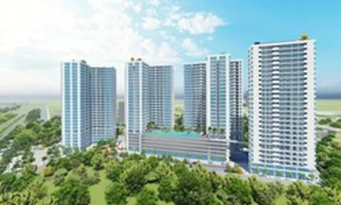 Doanh nghiệp nhóm Trần Thái được giao đất làm dự án Khu cao ốc căn hộ