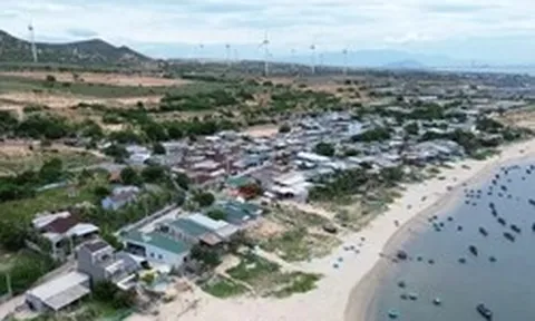 Cận cảnh nơi xây dựng Nhà máy điện hạt nhân Ninh Thuận