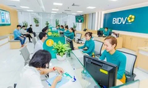 Quỹ lâu đời mạnh tay mua hơn 87 triệu cổ phiếu ngân hàng có tổng tài sản lớn nhất Việt Nam