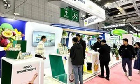 Tập đoàn Nguyên liệu Á Châu (AIG) khẳng định vị thế hàng đầu tại Hotelex Shanghai 2026