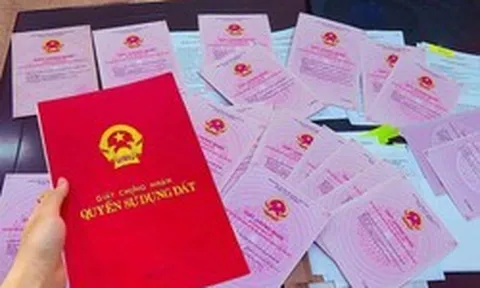 Thuế TP Hà Nội gửi thư ngỏ yêu cầu người nộp thuế thực hiện ngay điều này