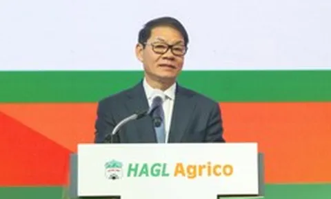Tỷ phú Trần Bá Dương muốn bán 20% vốn HAGL Agrico dù đang lỗ lũy kế 10.000 tỷ