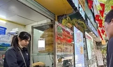 Hộ kinh doanh doanh thu dưới 1 tỷ có được hoàn thuế quý I đã nộp?