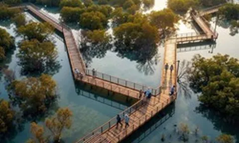 Cú chuyển mình thần kỳ của Hạ Long: Sắp có công viên câu cá lớn nhất thế giới, rộng gấp 45 lần sân Mỹ Đình, quy mô lên đến 800 ha