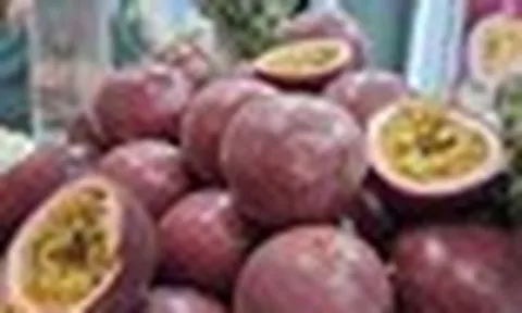 Không phải sầu riêng, đây mới là loại quả từ Việt Nam mà châu Âu cực mê