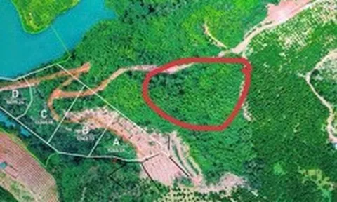Tin vui cho người mua "đất giấy tay" trước 2024