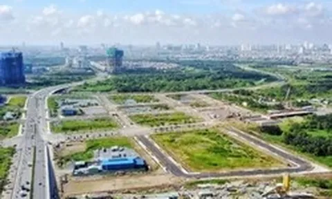 Hai trường hợp không bị truy cứu trách nhiệm hình sự liên quan vi phạm Luật Đất đai