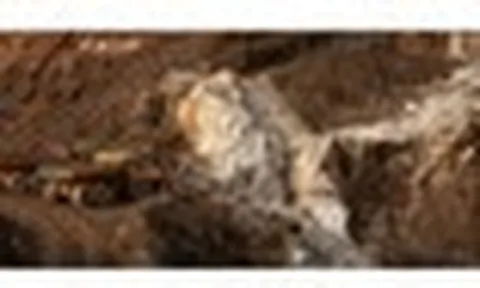 Các công ty đất hiếm ngoài Trung Quốc cứ mọc lên rồi phá sản - đây là 'đòn đánh' Bắc Kinh dùng suốt nhiều thập kỷ, Mỹ cũng phải 'bó tay'
