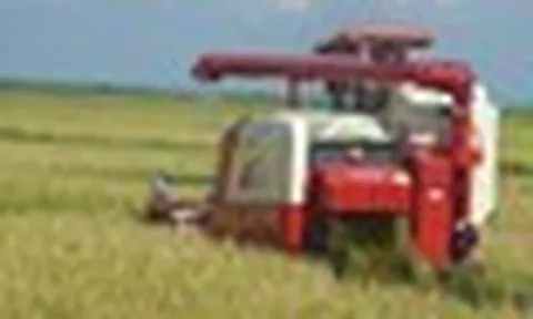 Cuba đón tin cực vui từ Việt Nam