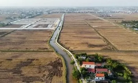 Bỏ cọc hàng loạt sau 'sốt' đấu giá đất vùng quê