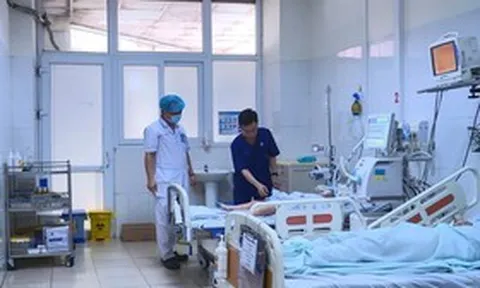 Bị rắn độc cắn khi đang ngủ ban đêm, bé 5 tuổi nguy kịch