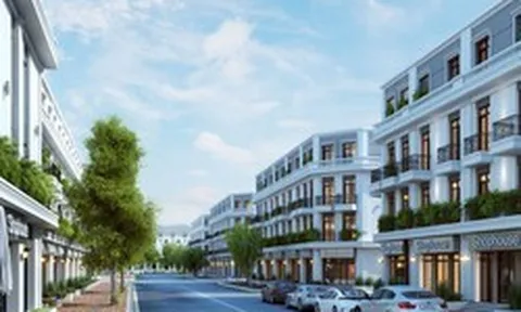 Thành viên Tập đoàn Picenza Việt Nam được giao và chuyển mục đích sử dụng đất để làm dự án tại Hà Nội