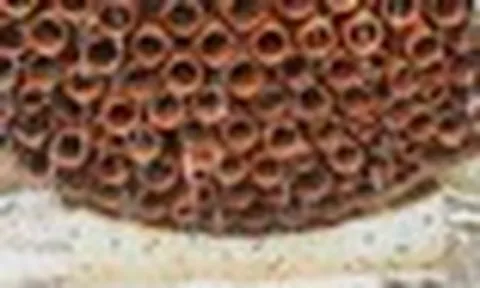Phát hiện quốc gia 1,4 tỷ người đang sở hữu 1 loại điều hòa siêu rẻ, được chế tạo từ đất nung