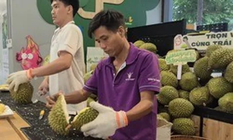 Đi ăn buffet sầu riêng, gặp thợ gõ - khui sầu riêng lương 60 triệu đồng/tháng