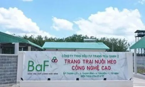 Baf Việt Nam chốt quyền nhận cổ phiếu thưởng và cổ tức tổng tỷ lệ 20%