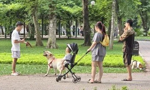 Thông tin quan trọng liên quan đến toàn bộ người nuôi động vật, thú cưng từ 1/8