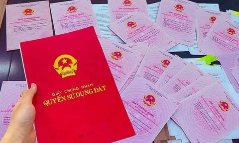 Những trường hợp sau không được sang tên sổ đỏ, người dân cần biết
