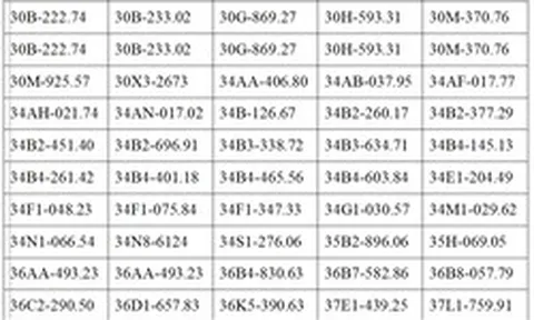 401 chủ xe có biển số sau khẩn trương nộp phạt nguội theo Nghị định 168