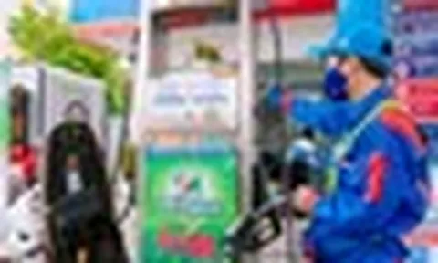 Giá xăng E10 còn tiếp tục giảm không?