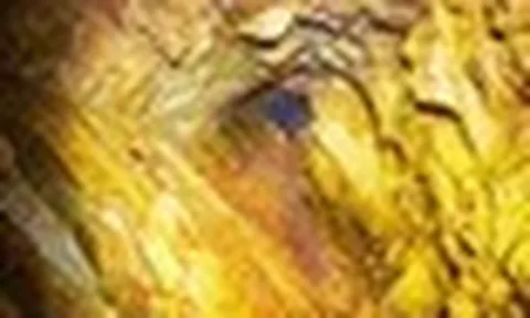 Khoan sâu xuống tầng địa chất, phát hiện 100 mét quặng vàng hàm lượng cao