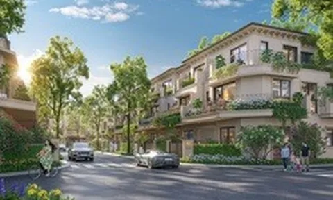Sol Garden: Nơi không gian trở thành “đòn bẩy” cho hiệu suất sống hiện đại