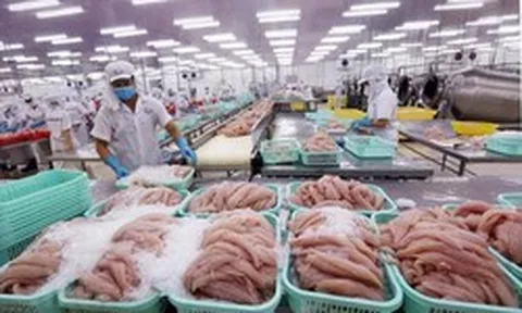 Doanh thu quý II giảm 74%, doanh nghiệp thủy sản vẫn báo lãi tăng hơn 200%, tiền chiếm 73% tài sản: Điều gì đã xảy ra?