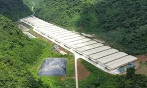Ba người tử vong do tai nạn ở trang trại nuôi lợn tại Thanh Hóa
