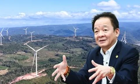 36,5 triệu USD sau 7 tháng: T&T "hái quả" từ dự án điện gió xuyên biên giới