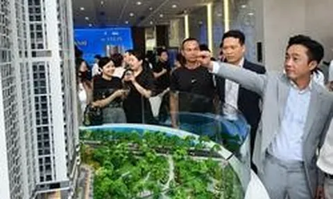 Một công ty BĐS doanh thu lõi bằng 0, lãi đột biến gấp 93 lần cùng kỳ trong quý 2/2026