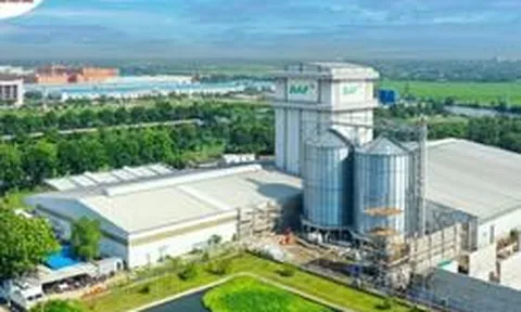 Doanh thu bứt phá, Baf Việt Nam vẫn báo lãi ròng quý II/2026 ‘bốc hơi’ 50%
