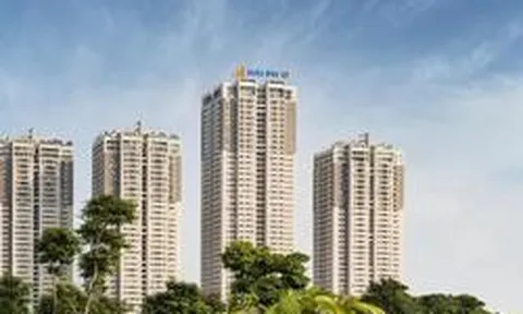 Chủ tịch Hải Phát Invest "gom" thành công 10 triệu cổ phiếu HPX