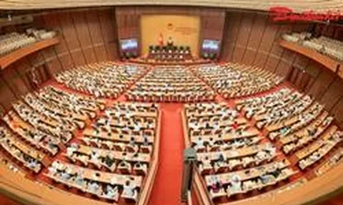 Ngày 10/8, Quốc hội thảo luận 4 dự án luật quan trọng