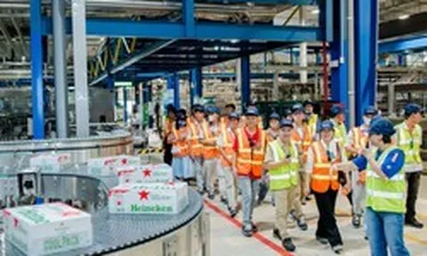 Trải nghiệm tham quan HEINEKEN Việt Nam tại Đà Nẵng