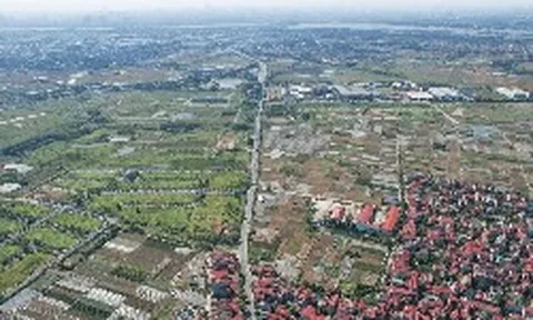 Thị trường đất nền "hạ nhiệt" sau giai đoạn tăng giá kéo dài, giá giảm