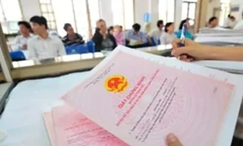 Chuẩn hóa dữ liệu thuế đất: Người dân cần làm gì khi phát hiện sai sót?
