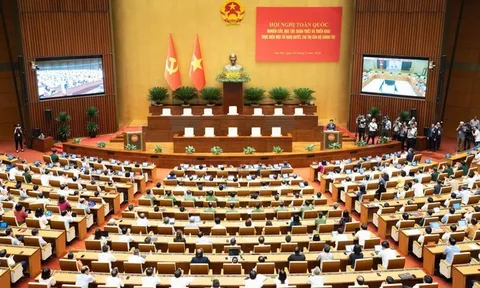 Đảng bộ Trung ương Hội Luật gia Việt Nam tham gia học tập, quán triệt các Nghị quyết của Bộ Chính trị