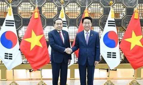 Việt Nam - Hàn Quốc thúc đẩy hợp tác thực chất, hướng tới thương mại song phương 150 tỷ USD